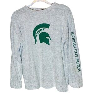 Michigan State Spartans Pressbox Gray Heather Terry Raglan Oversized Shirt Top